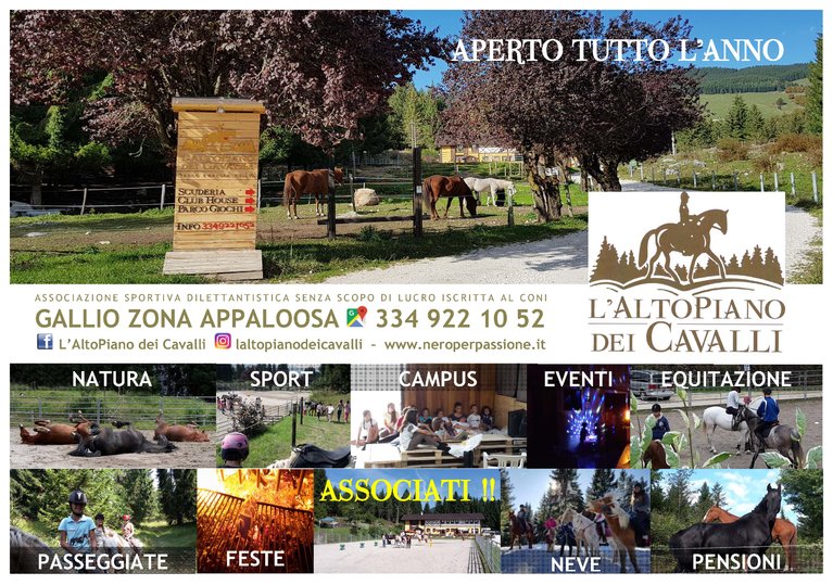 Appaloosa locandona titoli no locanda rv00