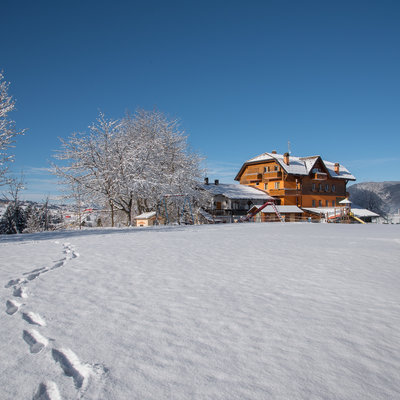 Zwei Schritte im Schnee