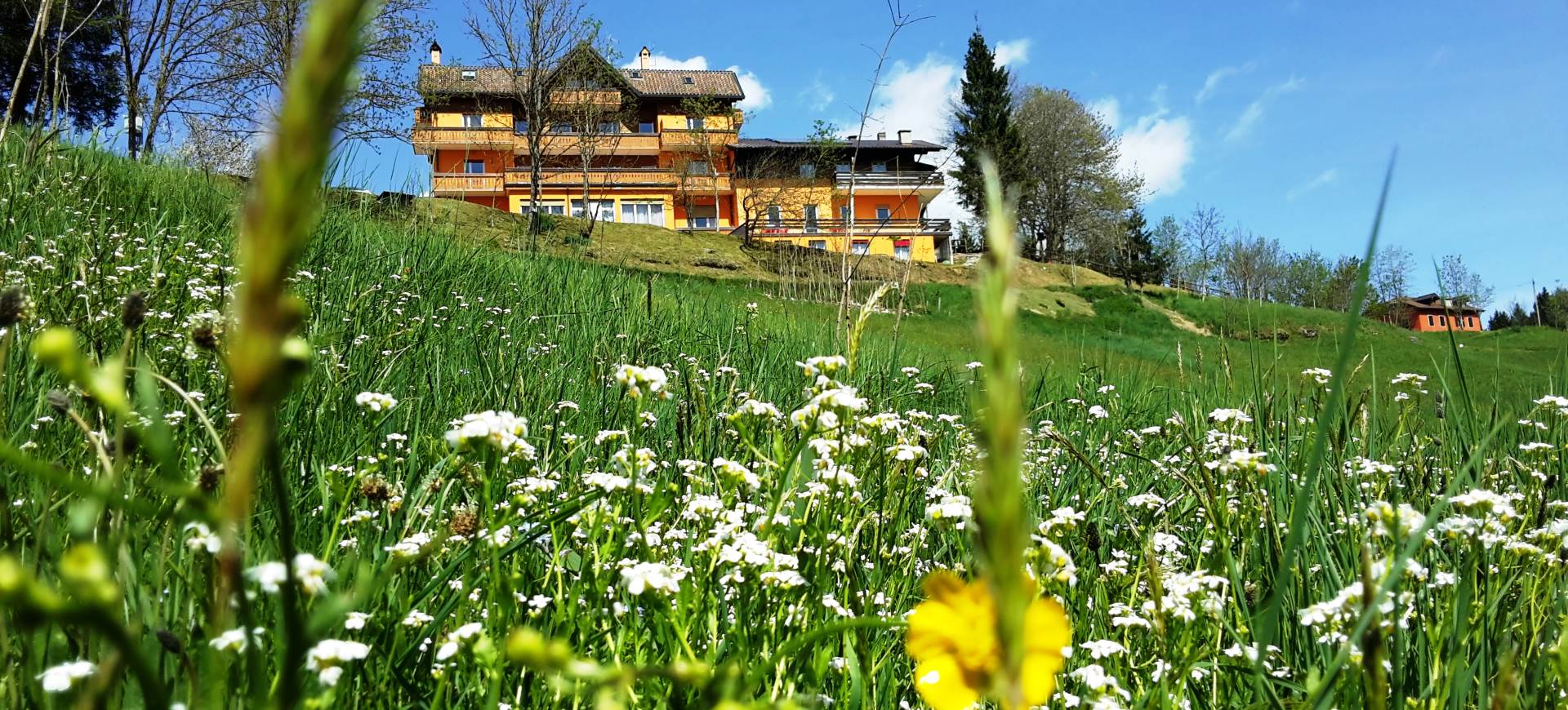 Hotel Da Barba Primavera Estate